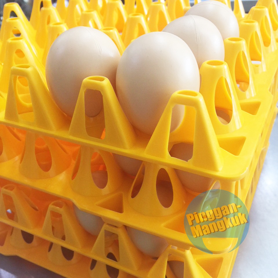 30Pcs Plastic Egg Tray | Shopee Malaysia