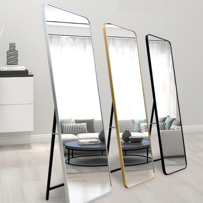 Stylish Modern Standing Hanging Full Body Mirror Multipurpose