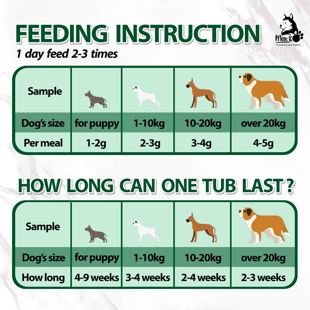 should i feed my puppy 2 or 3 times a day