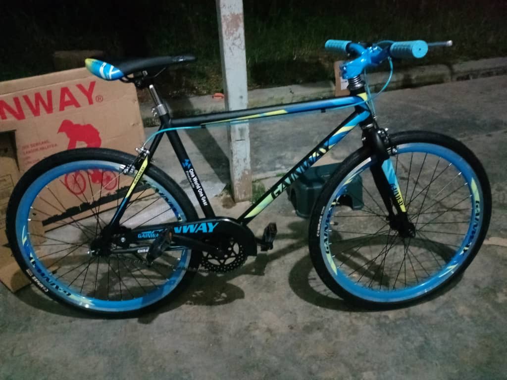 Basikal Fixie Taya Saize 700