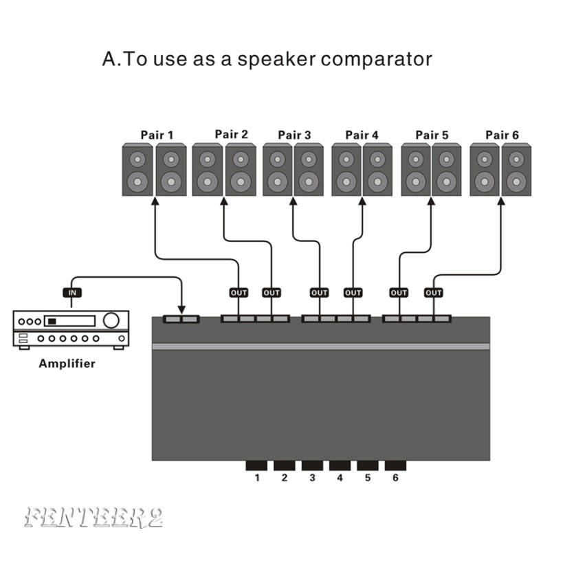 connecting multiple speakers to an amplifier