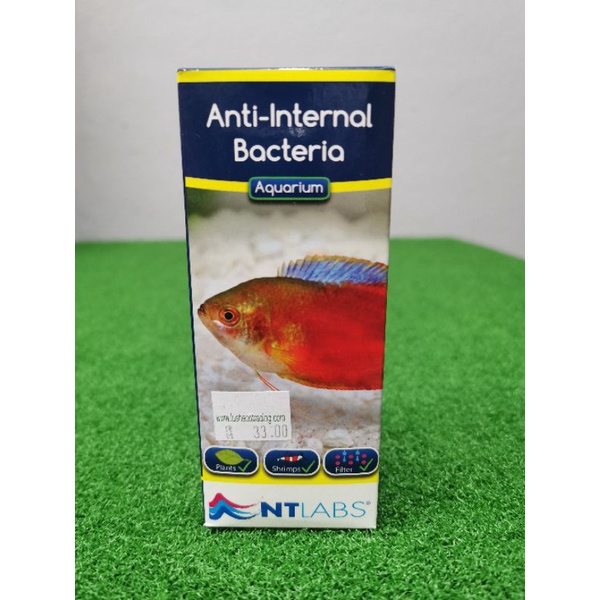 NTlabs AntiInternal Bacteria 100ml. Fish Medicine, Pop Eye, Dropsy