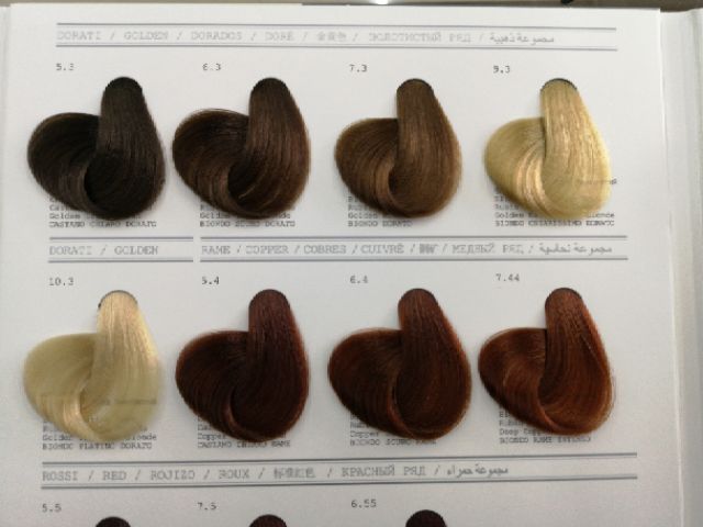 Elgon 10 Min Hair Color 60ml Shopee Malaysia