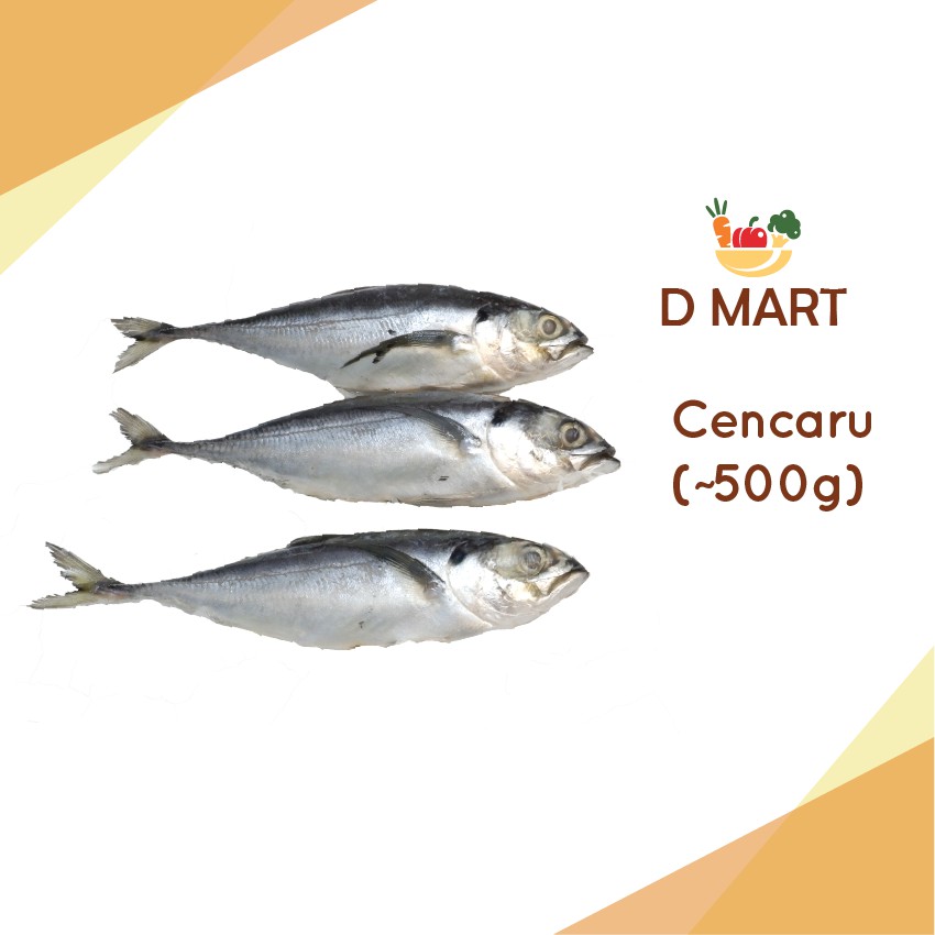 D Mart Frozen Seafood Ikan Cencaru 500g Torpedo Scad