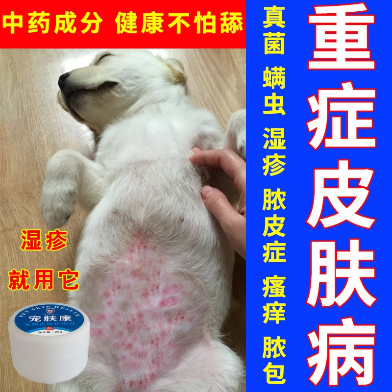 Dog skin disease external use ointment fungal infection hair loss mite