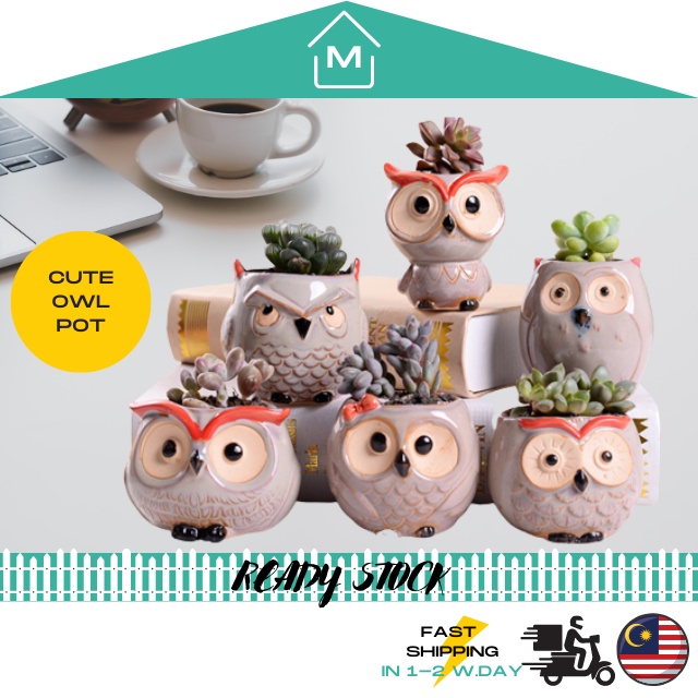 [MINI] Owl Design Ceramic Succulent Cactus Plant Flower Pot Home Deco | Pasu Bunga Seramik Burung Hantu 猫头鹰陶瓷迷你多肉花盆