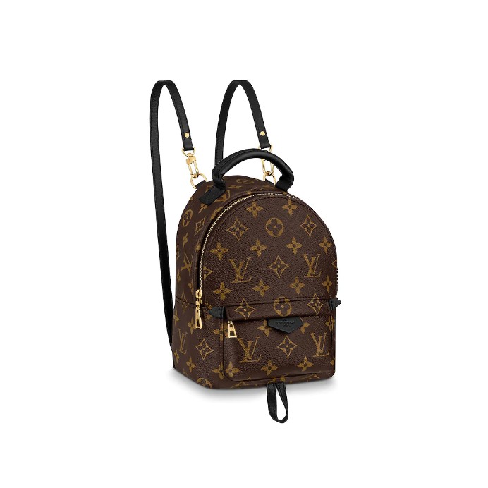 louis vuitton womans backpack