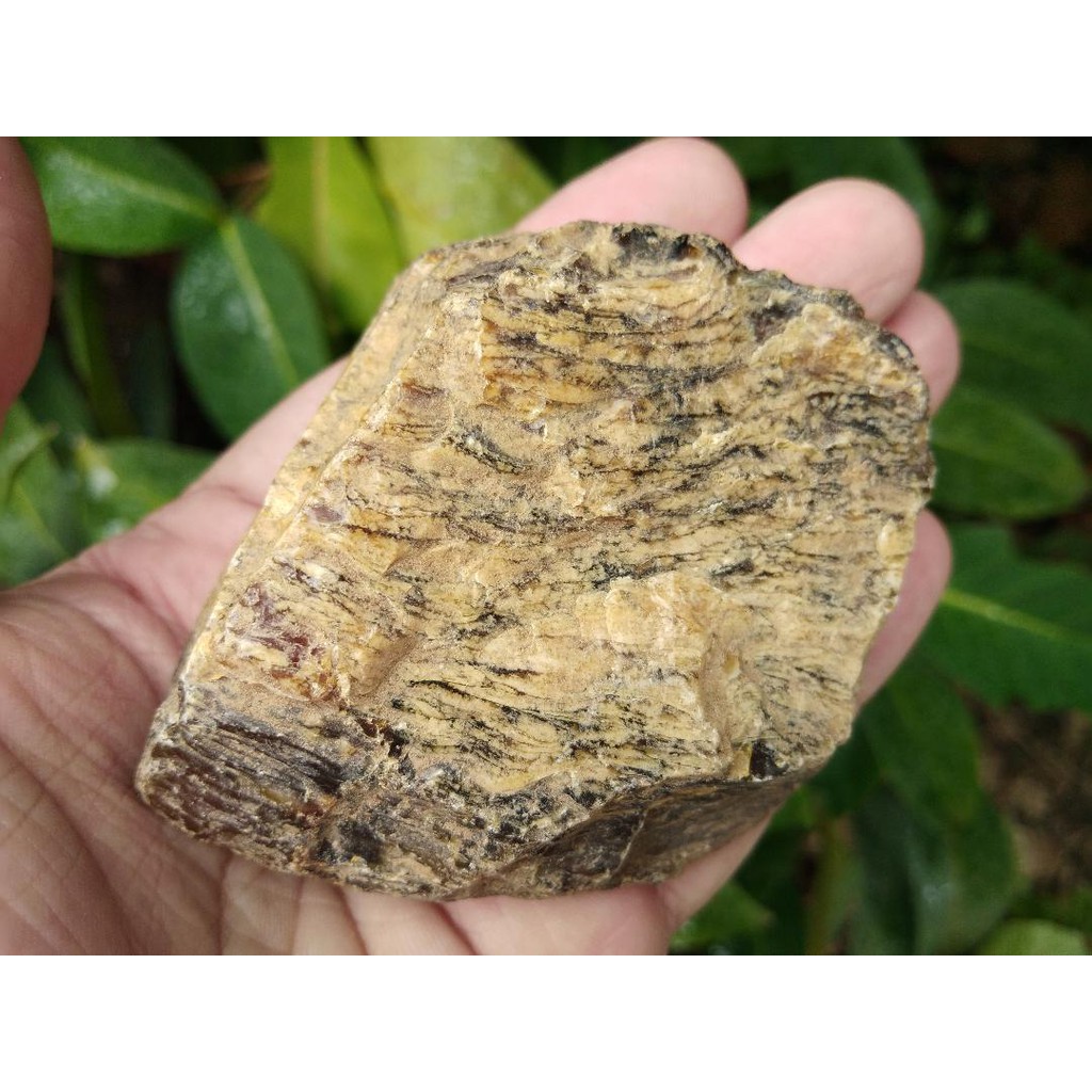 Buy 10) Natural Raw Amber / Fossil Getah Katilayu Asli Cirebon 91g 