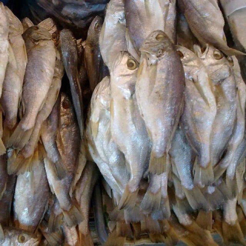 Buy Ikan Gelama Masam Ready Stock Seetracker Malaysia