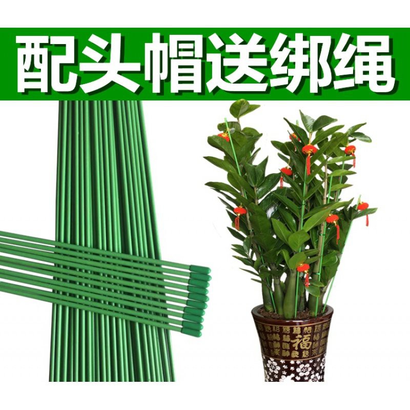 Gardening Bracket 园艺支架粗细绿铁线植物爬藤支架种花种菜支柱兰花金钱树园艺花架