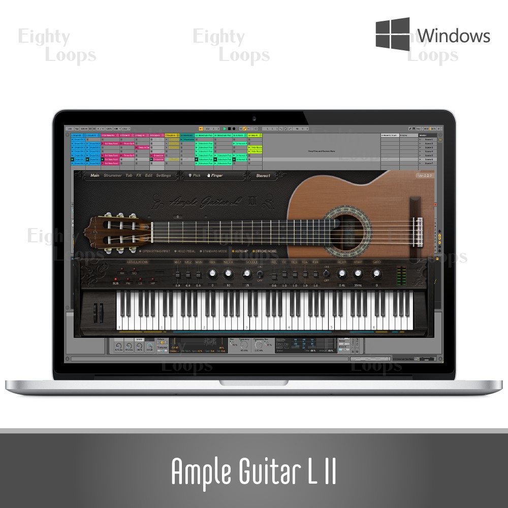 Vst plugin ample guitar l ii f