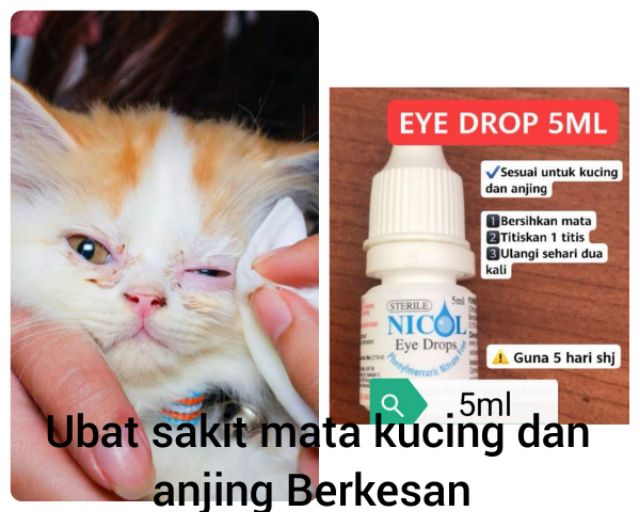 Ubat Sakit Mata Kucing and Haiwan effektif! 👍🏾  Shopee Malaysia