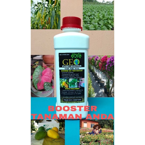 GEO PLANT BOOSTER,GEOPLANT BOOSTER,MAKANAN UNTUK TUMBUHAN ANDA.BOOSTER TANAMAN ANDA