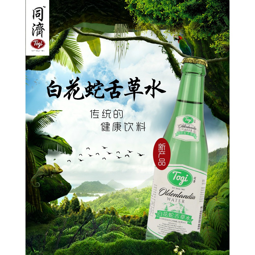 Togi Oldenlandia Water 同济白花蛇舌草水270ml Shopee Malaysia