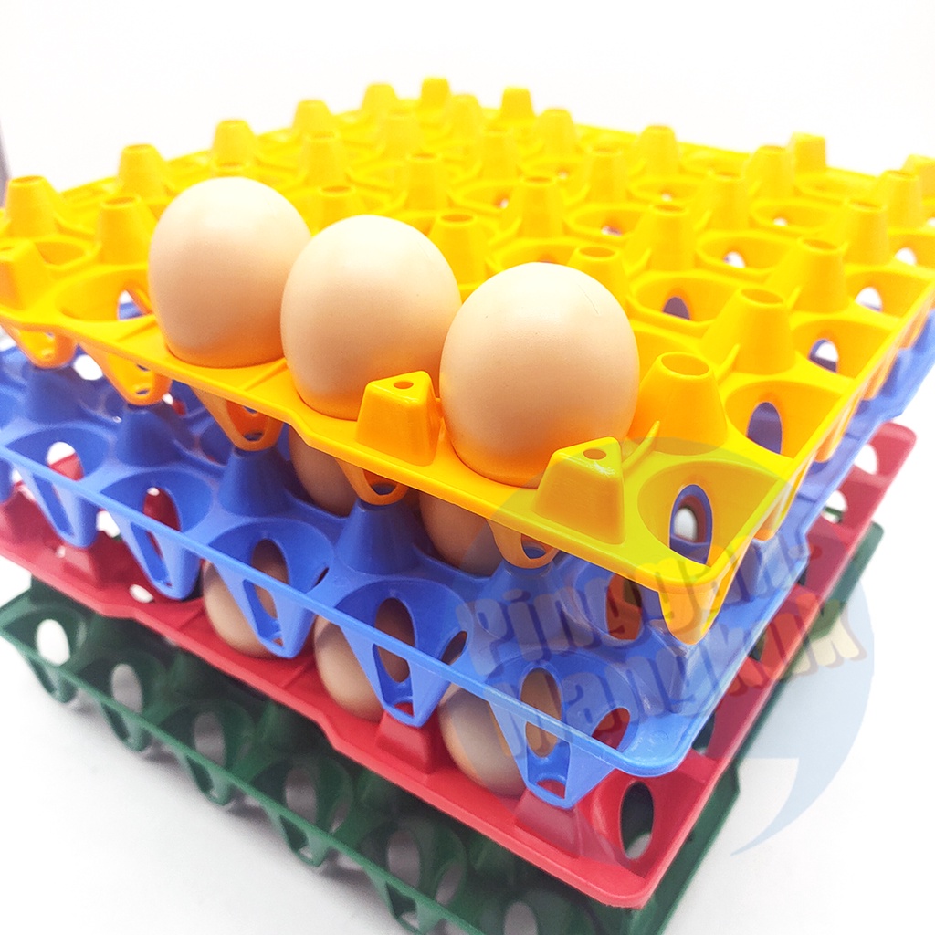 30Pcs Plastic Egg Tray | Shopee Malaysia