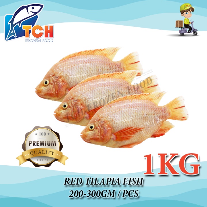 TALAPIA MERAH, RED TILAPIA, TCH FROZEN FOOD, FRESH FROZEN SEAFOOD