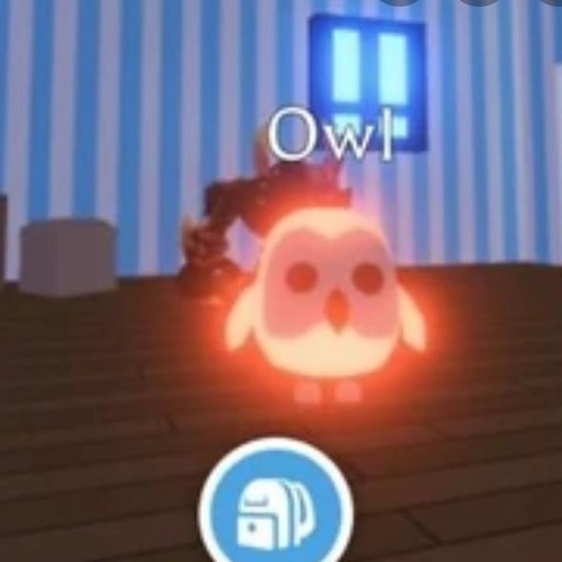 Adopt Me Legedary Owl Neon Fly Ride Nfr Shopee Malaysia - neon owl roblox. 