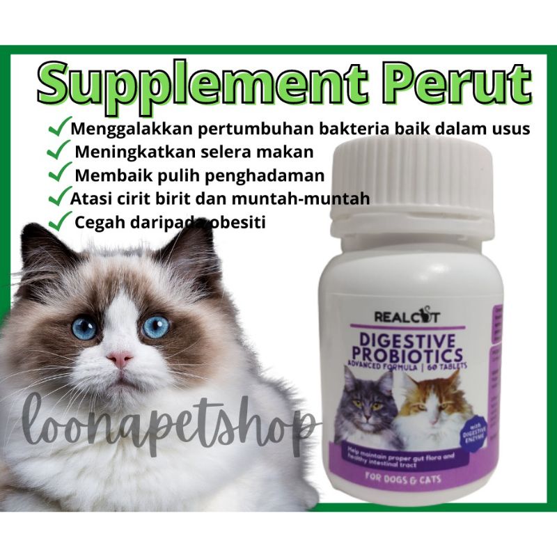 Pet Cat Vitamin Supplement Digestive Probiotic Muntah Cirit Kucing