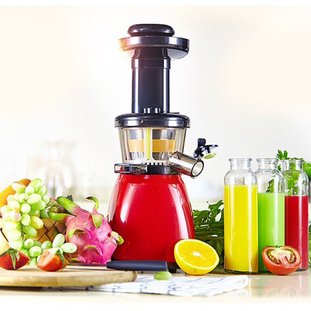 ZEEBE Slow Juicer Stainless Steel Fresh Juice Extractor Blender J3