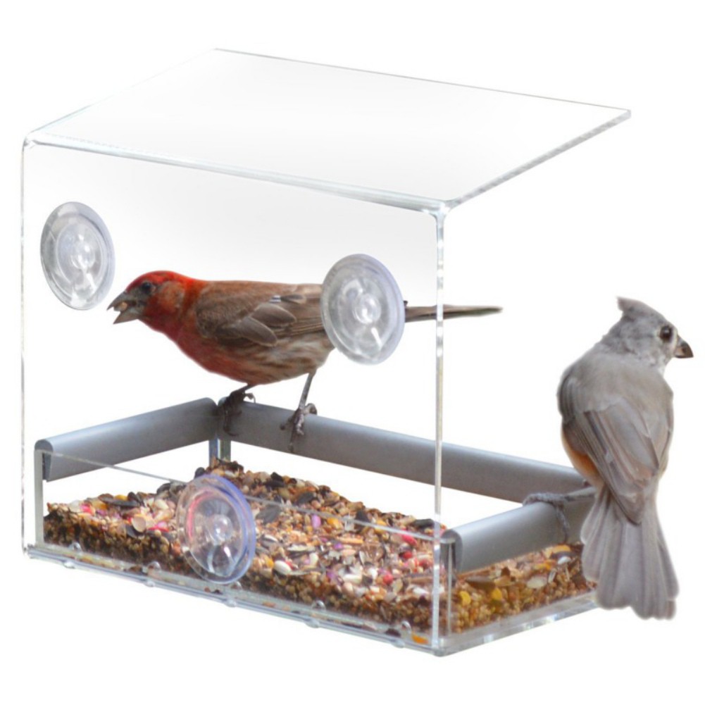 Transparent Acrylic Bird Feeder With 3 Suction Cups For Indoor