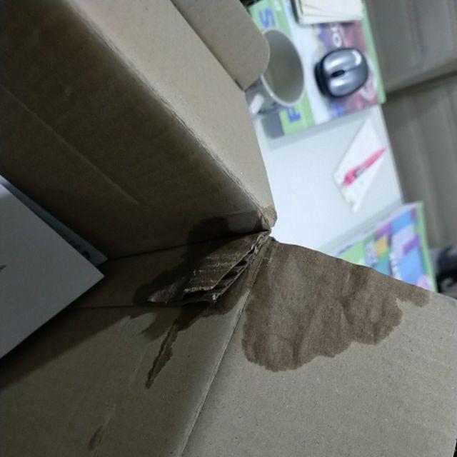 Camel NS40ZL (40B19L) Maintenance Free Car Battery for 