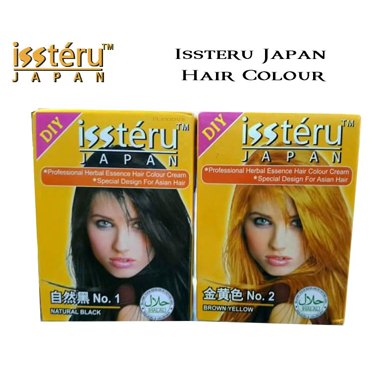 Issteru Japan Hair Colour Color 12 22 Shopee Malaysia