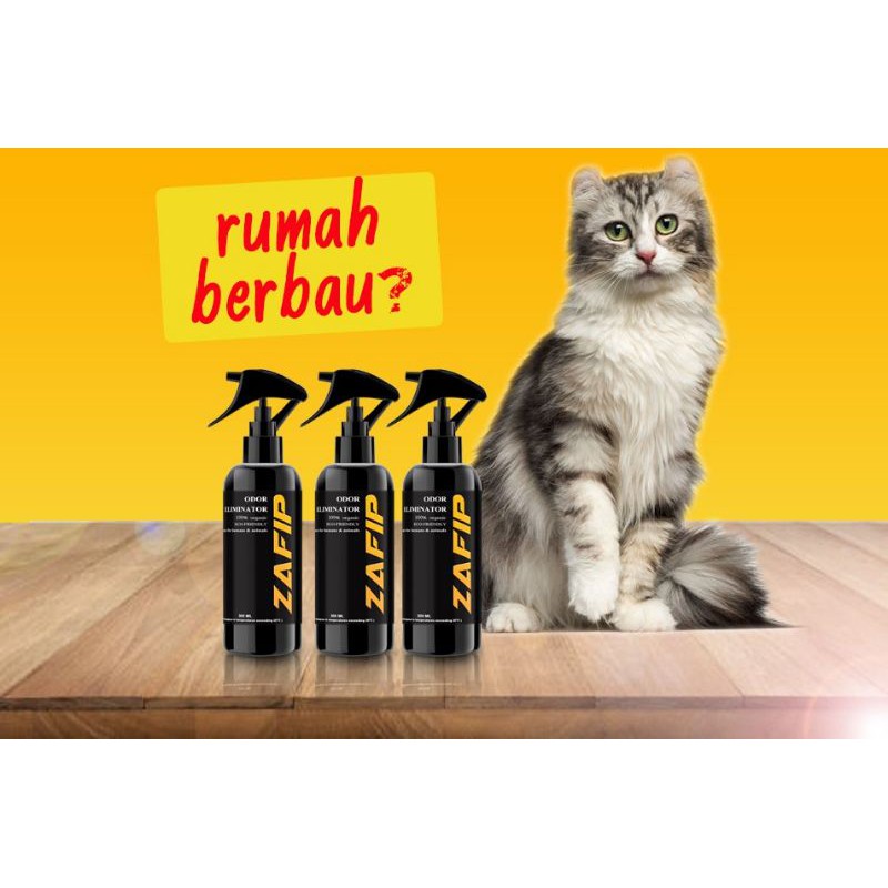 💖ZAFIP SPRAY HILANG BAU💖Spray Anti-Bakteria u0026 Pelbagai Kegunaan 