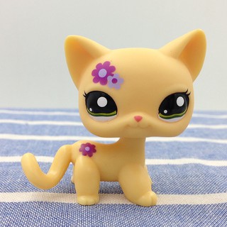 yellow lps cat