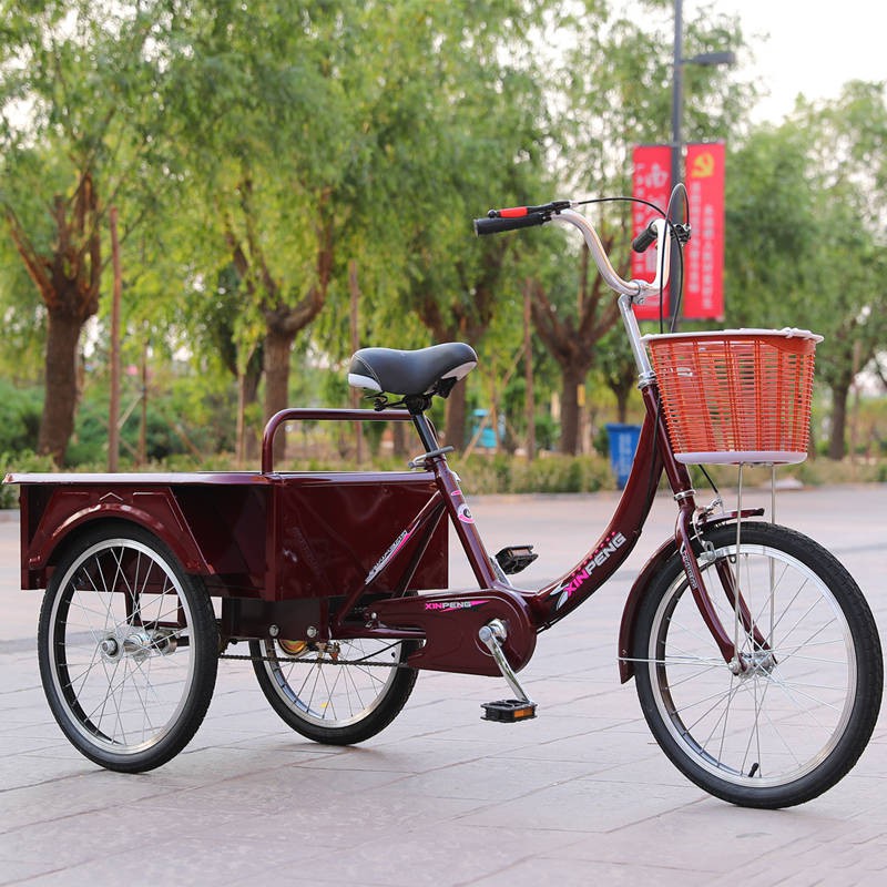 Bicycle Basikal Dewasa Basikal Budak Basikal Basikal Senaman Roda Tiga Pedal Dewasa Basikal Roda Tiga Kecil Pertengaha