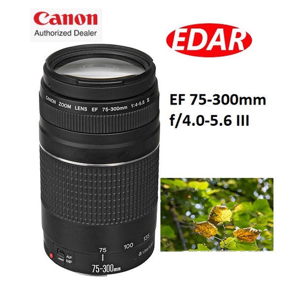 Canon Ef 75 300mm F 4 5 6 Iii Prices And Promotions Jan 23 Shopee Malaysia