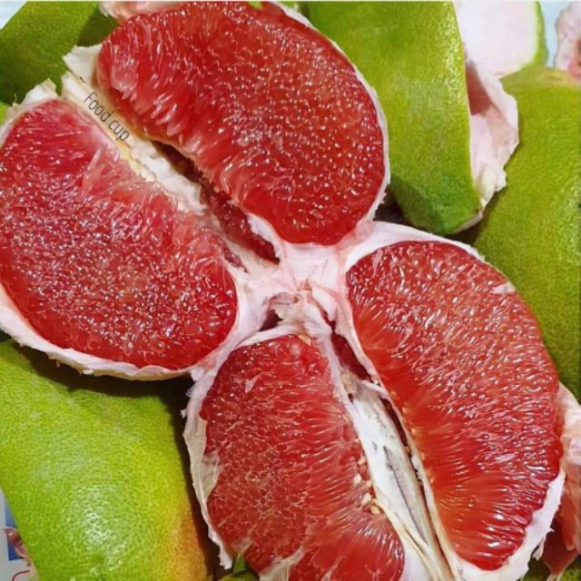 Ready Stock Pokok Limau Bali Isi Merah Shopee Malaysia
