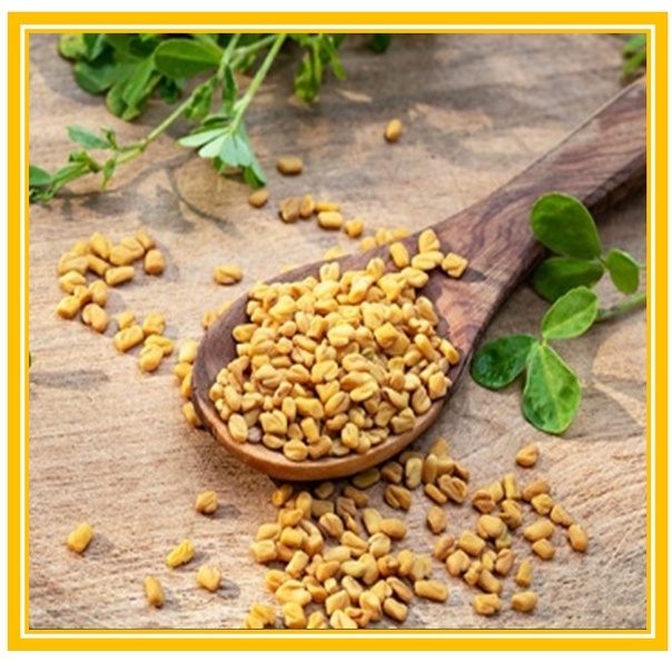 [TP] Fenugreek Seeds/Biji Halba/ Milk booster/ increase Breast milk