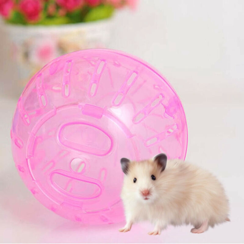 toy gerbil