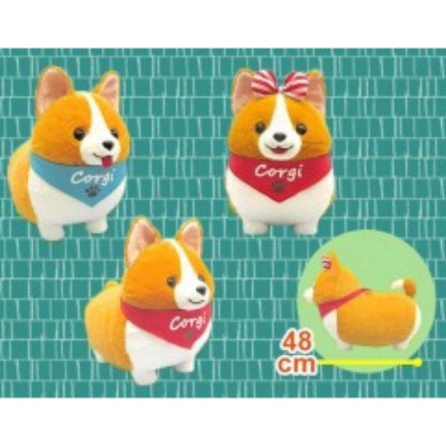 ichini corgi