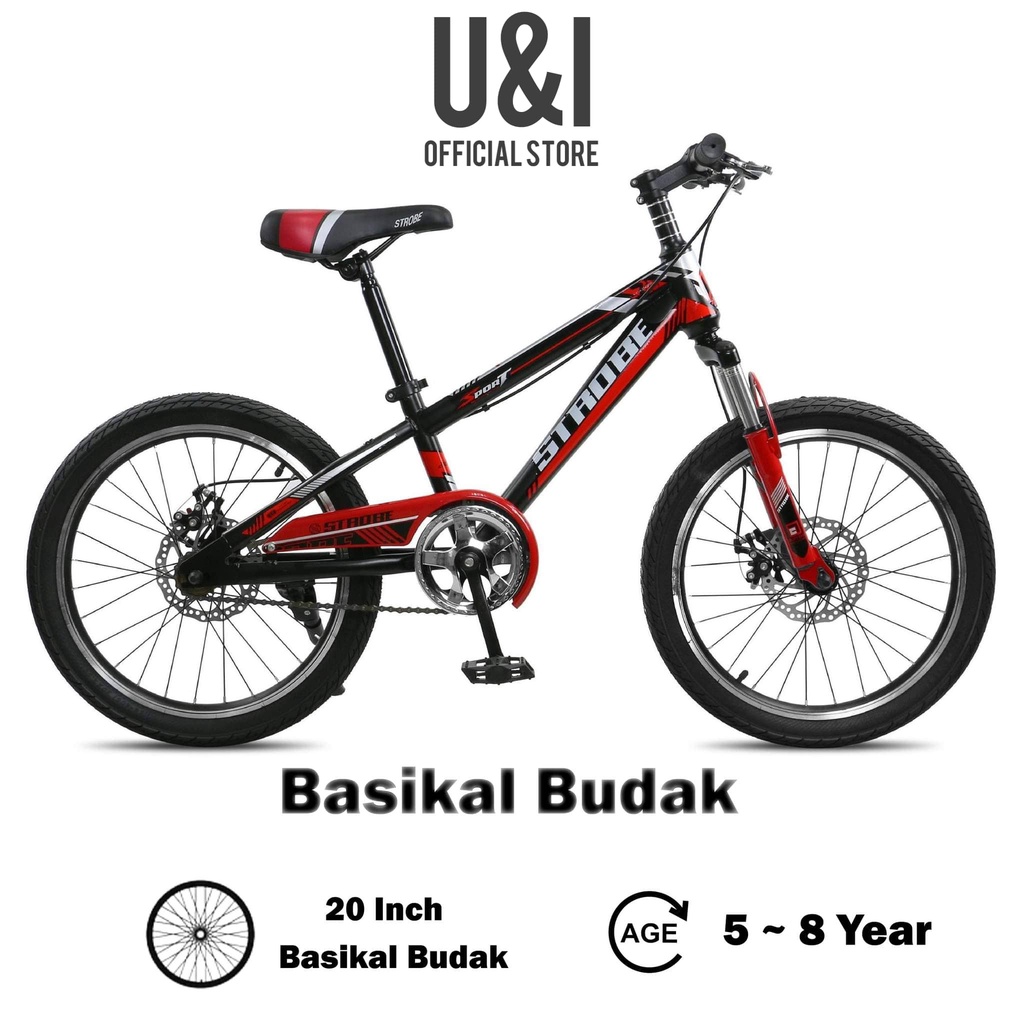 brake disc basikal