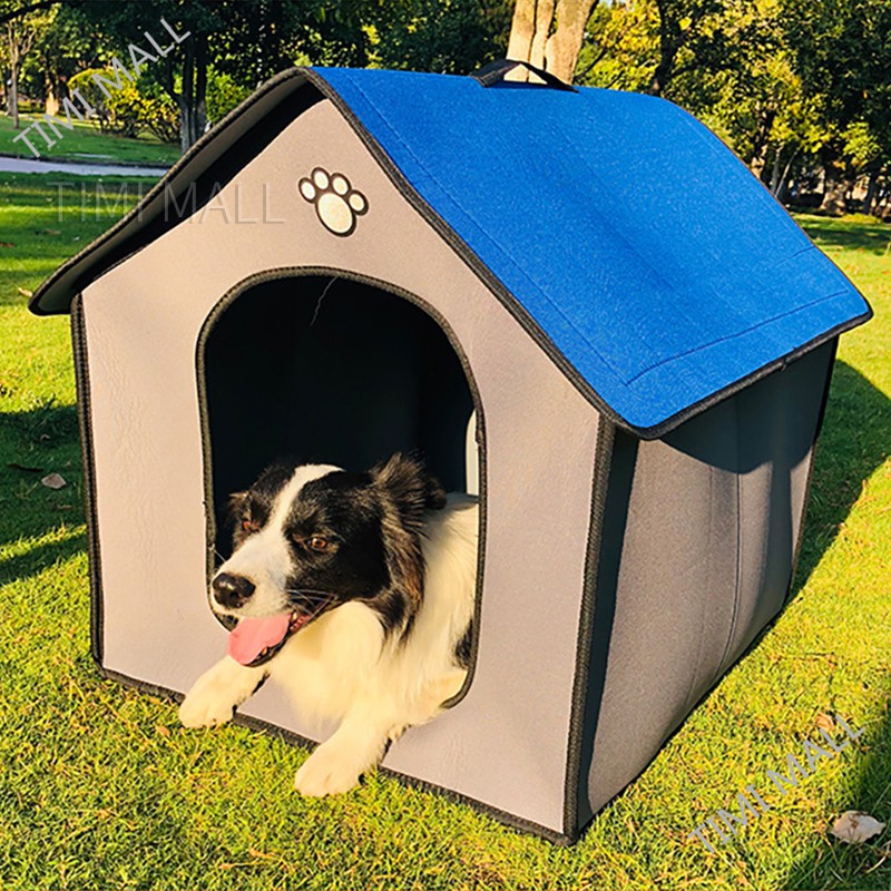 indoor outdoor dog kennels