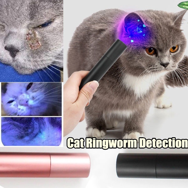 Uv Light Ringworm ubicaciondepersonas.cdmx.gob.mx