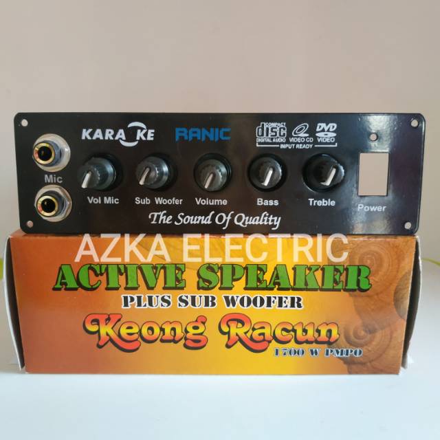 speaker plus amplifier