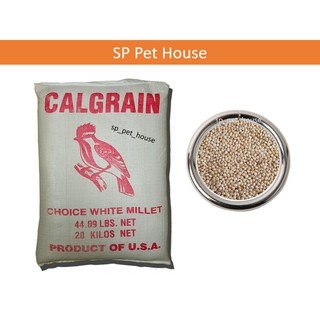 Repack 500g Smart Heart Cat Food Kitten Dry Food Shopee Malaysia