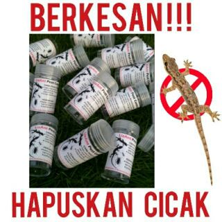 RaCun CicaK LiZard ⭐⭐⭐  Shopee Malaysia