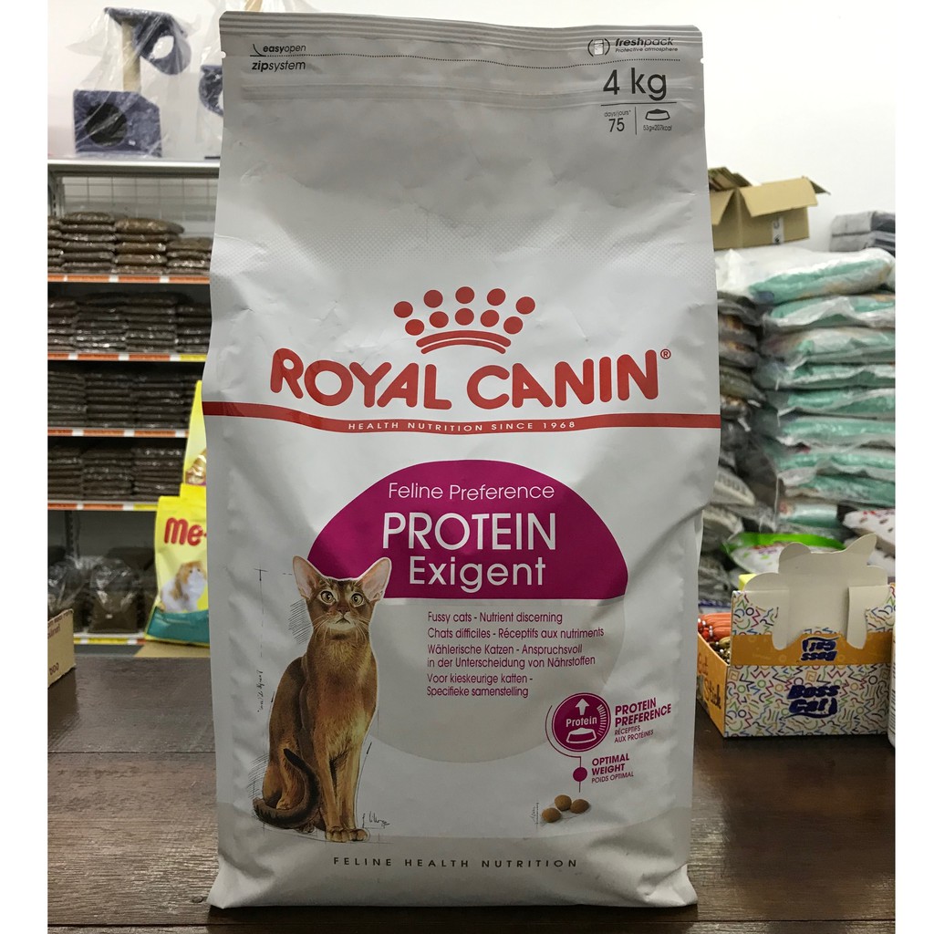protein exigent royal canin