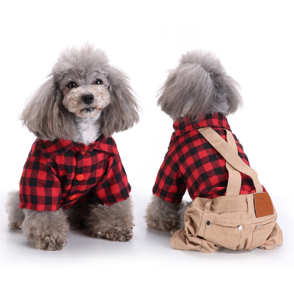 puppy sweater
