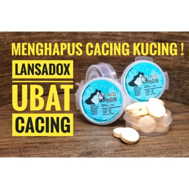 Ubat Cacing kucingLasadox  Shopee Malaysia