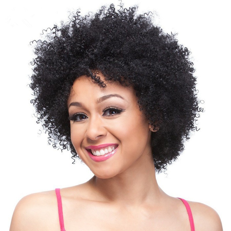 Woman Short Curly Hair Wig Shopee Malaysia