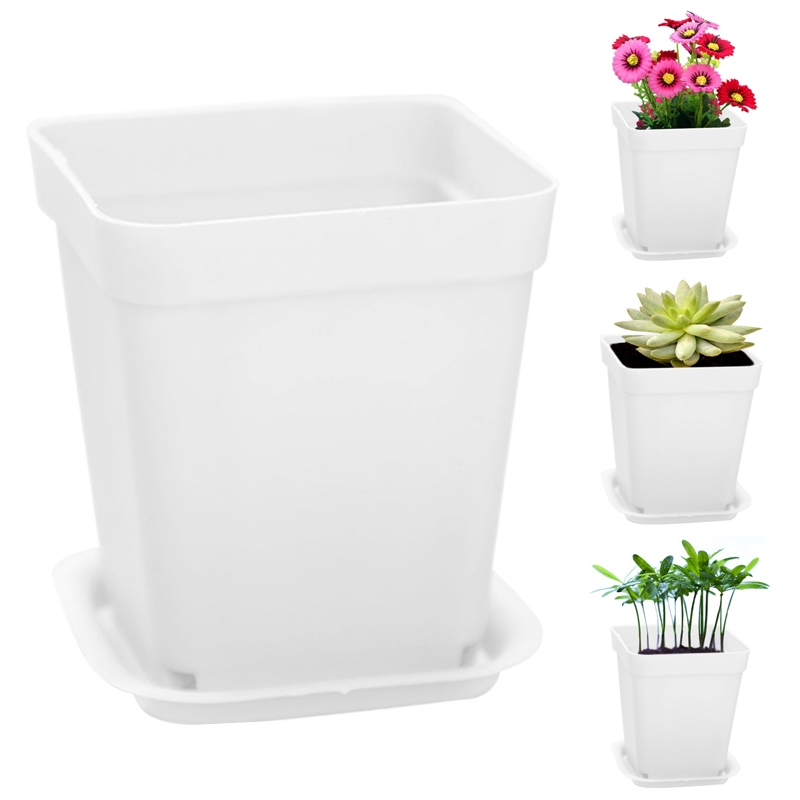 White Ceramic Succulent Amp Amp Cactus Plant Pots With Bamboo Tray