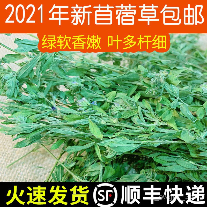 Rabbit Food 紫花苜蓿草干草年新草兔兔饲料兔子草龙猫草荷兰猪草兔粮苜蓿草 Shopee Malaysia