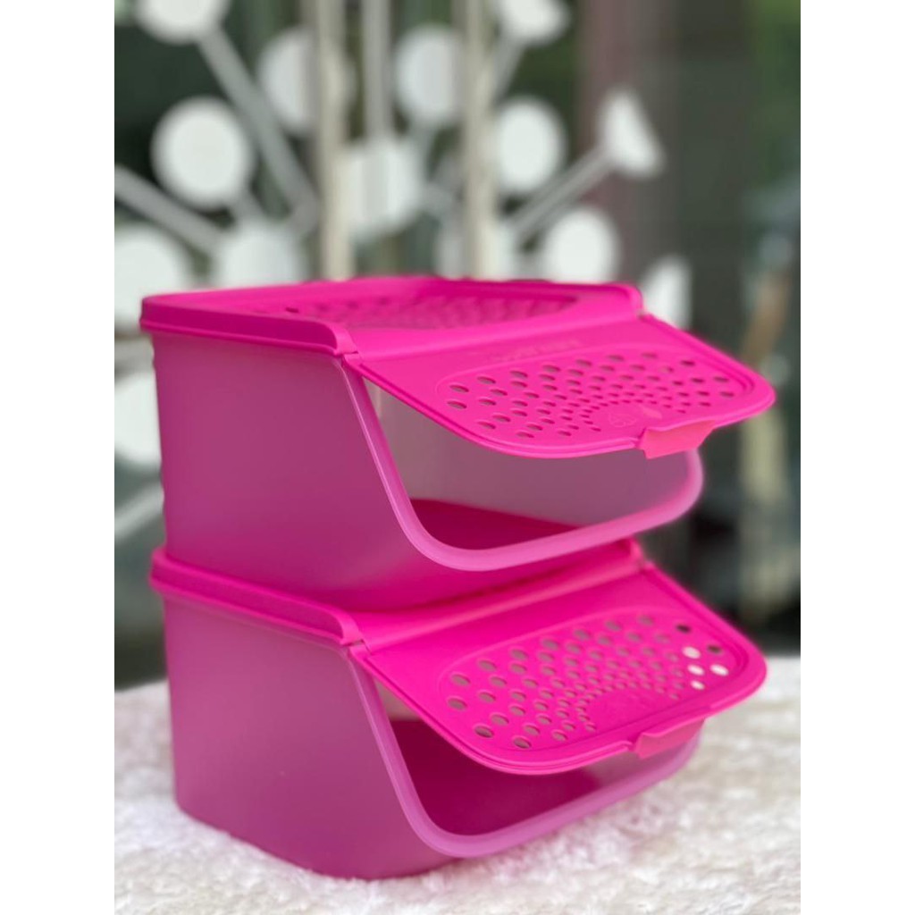 Garlic N All Keeper – Tupperware US