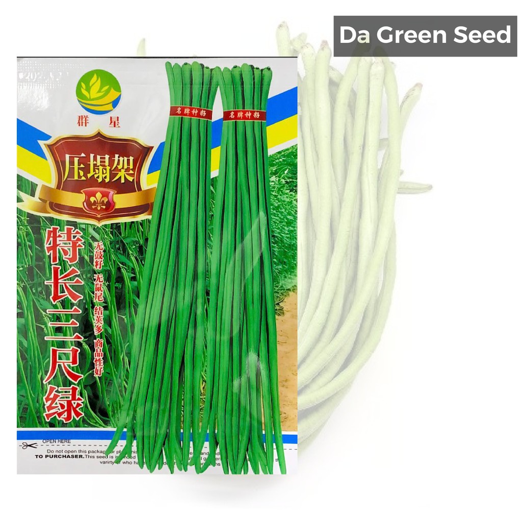 Ready Stock Black Long Bean Seed Biji Benih Kacang Panjang Hitam 黑眉长豆 Shopee Malaysia