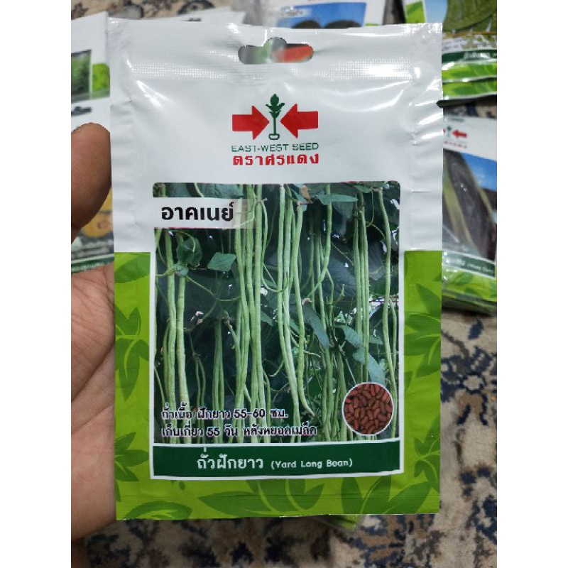 ORIGINAL AAA Premium Grade Benih kacang panjang / seeds yard long 