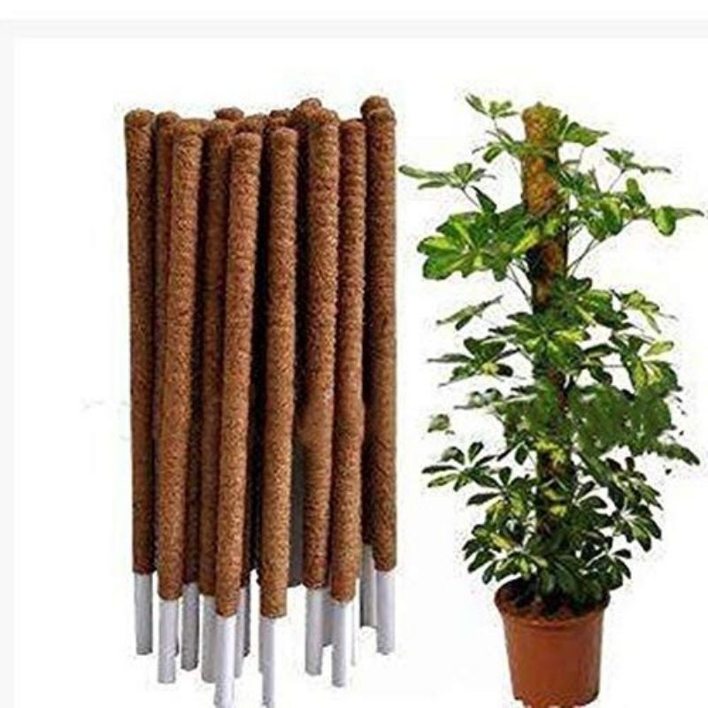 cocopeat pole